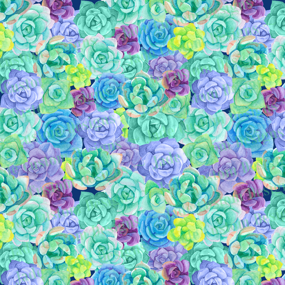 Succulents Print on Blue Background