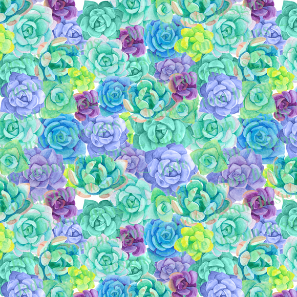 Succulents Print on White Background
